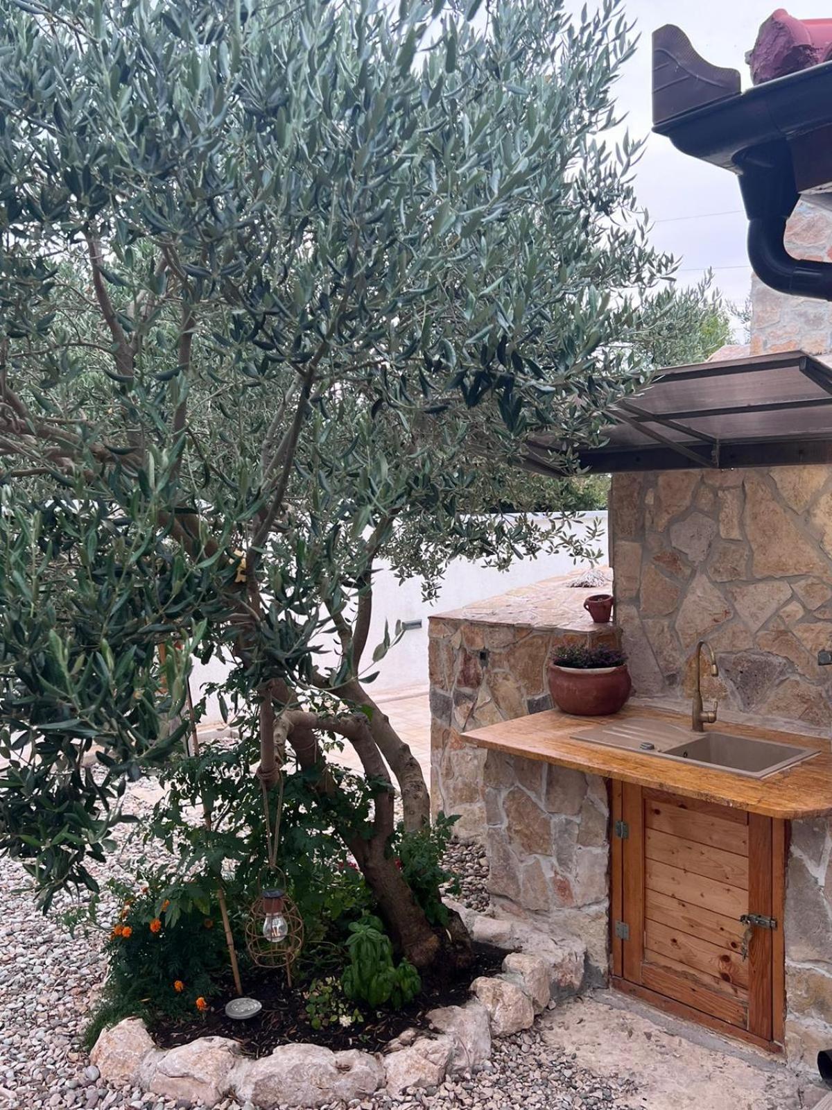 Vila Mobile House F&L Biograd Na Moru Exteriér fotografie